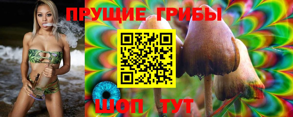 Отрадное  Галлюциногенные грибы Psilocybe  Вход с VPN 