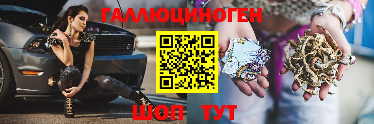 Галлюциногенные грибы Psilocybine cubensis Отрадное