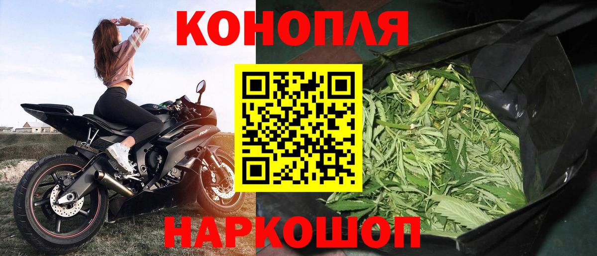 Бошки Шишки семена Отрадное